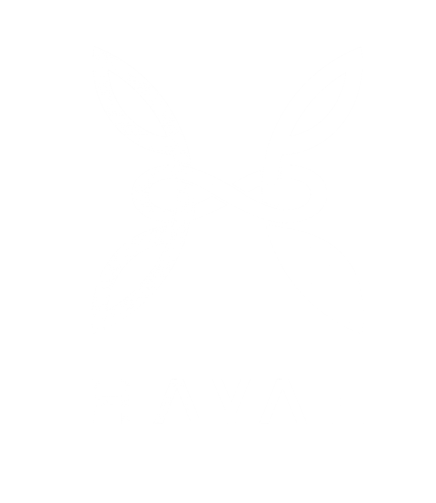 محصولات فروشگاه اینترنتی حایال